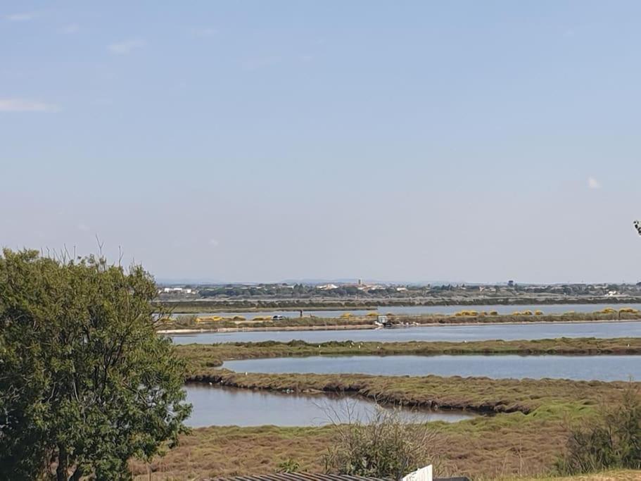 Studio Refait A Neuf Ave St Maurice Palavas-les-Flots Kültér fotó